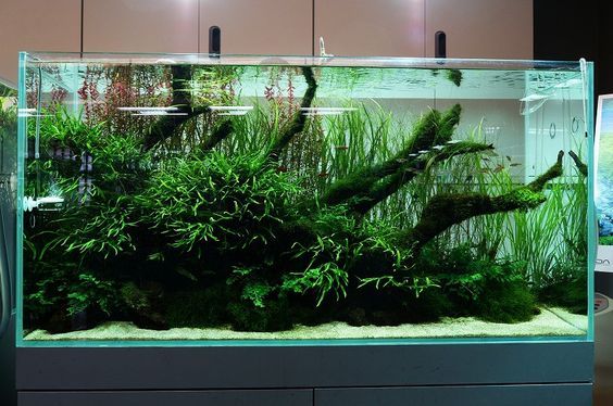 Хороший травник