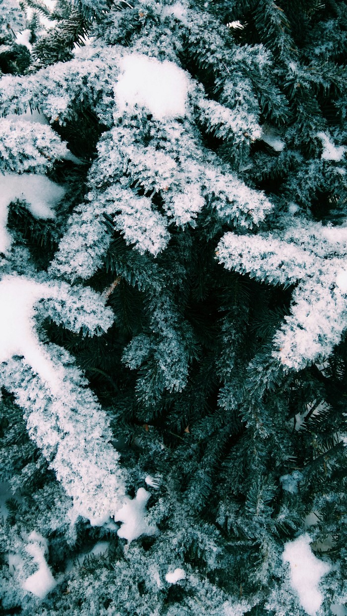 beautiful winter - My, Winter, Beautiful, Longpost