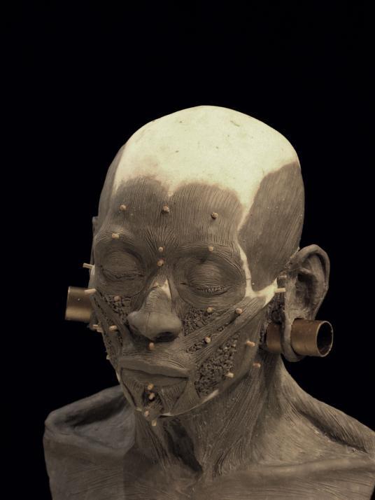 Reconstruction of the face of a noble lady who lived in Peru 1200 years ago - Peru, Scull, Reconstruction of appearance, Longpost