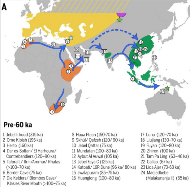 Актуальные данные о выходе людей из Африки - Homo sapiens, Африка, Человек, Денисовский человек, Неандерталец, Евразия, История, Человечество, Длиннопост