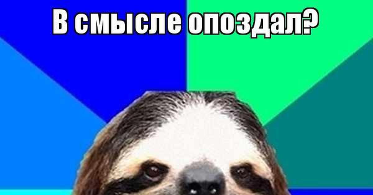 В смысле пришла. Опоздал я всегда так прихожу. В смысле опоздал. Опоздун Мем. В смысле опоздал я всегда так прихожу картинка.