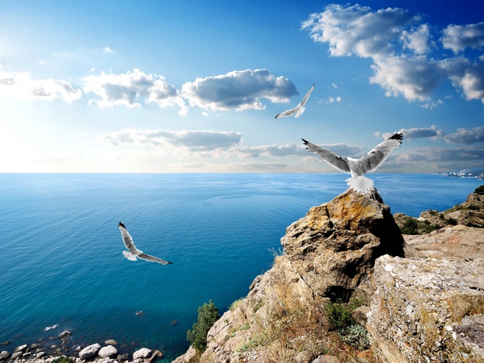 Sea breath - Crimea, Tourism, Russia, Travel across Russia, Travels, The nature of Russia, Landscape, The photo