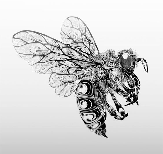 Идеи на тему «Эскизы насекомых» () | насекомые, эскиз, татуировка с мотыльком