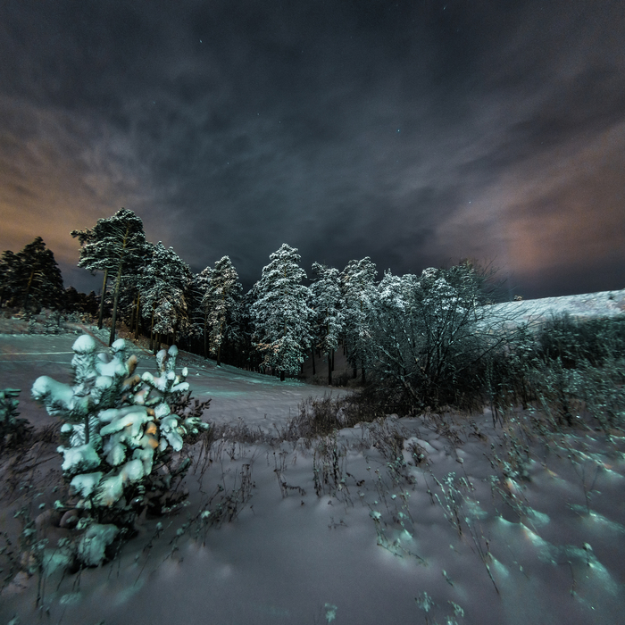 cold abyss - My, The photo, Forest, Night, Cold, Hunger, Selling garage, 10mm