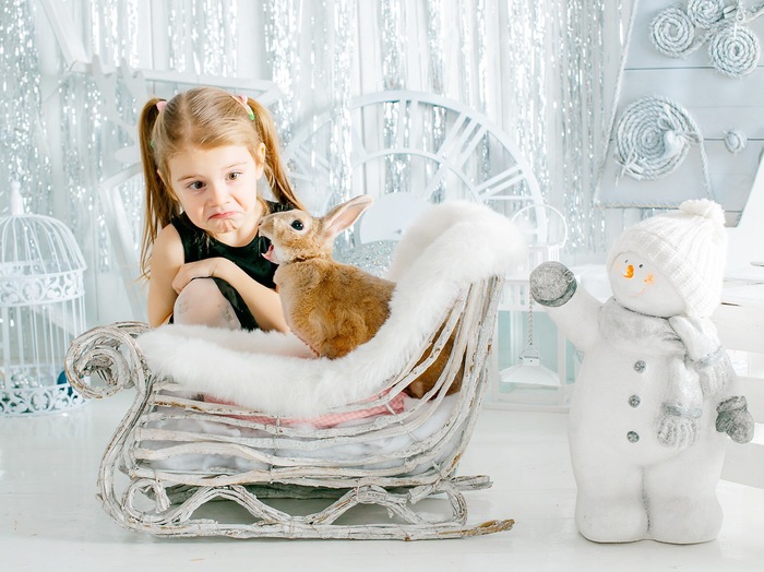 Photo shoot with a cute rabbit - Rabbit, Milota, PHOTOSESSION, Girl, Teeth, New Year, The photo