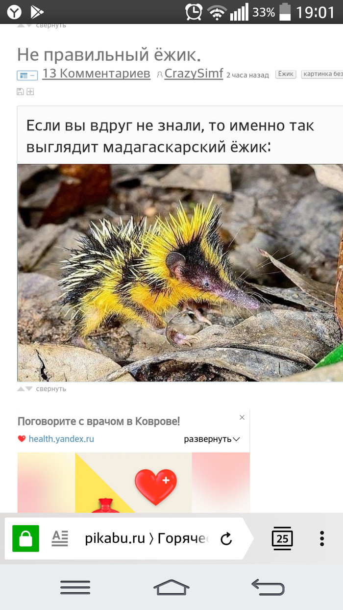 - What are you complaining about? - On hedgehogs, Kovrov doctor ... - Matching posts, It happens, Humor