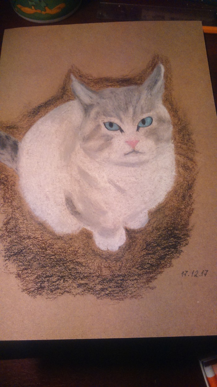 Cat - Drawing, My, cat, Oil pastel