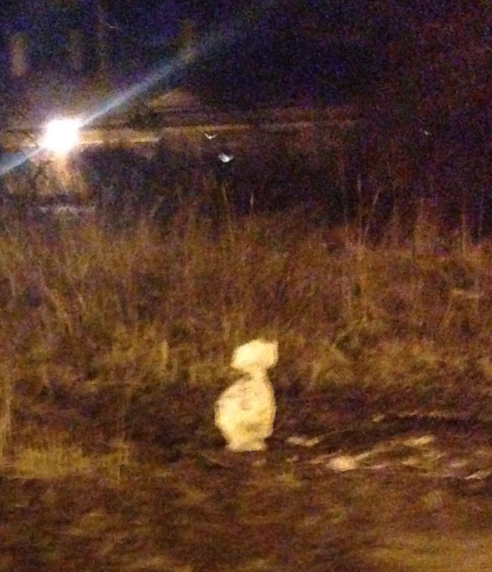 Выживший Снеговик, Потепление, Москва