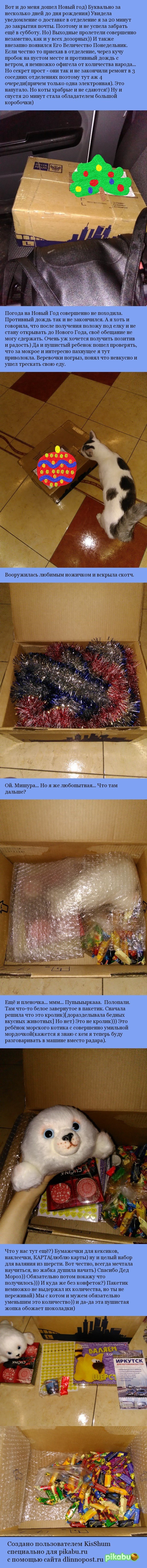 Thanks to my Santa Claus from Irkutsk)) - My, Gift exchange, New Year's miracle, Mainstream, Longpost