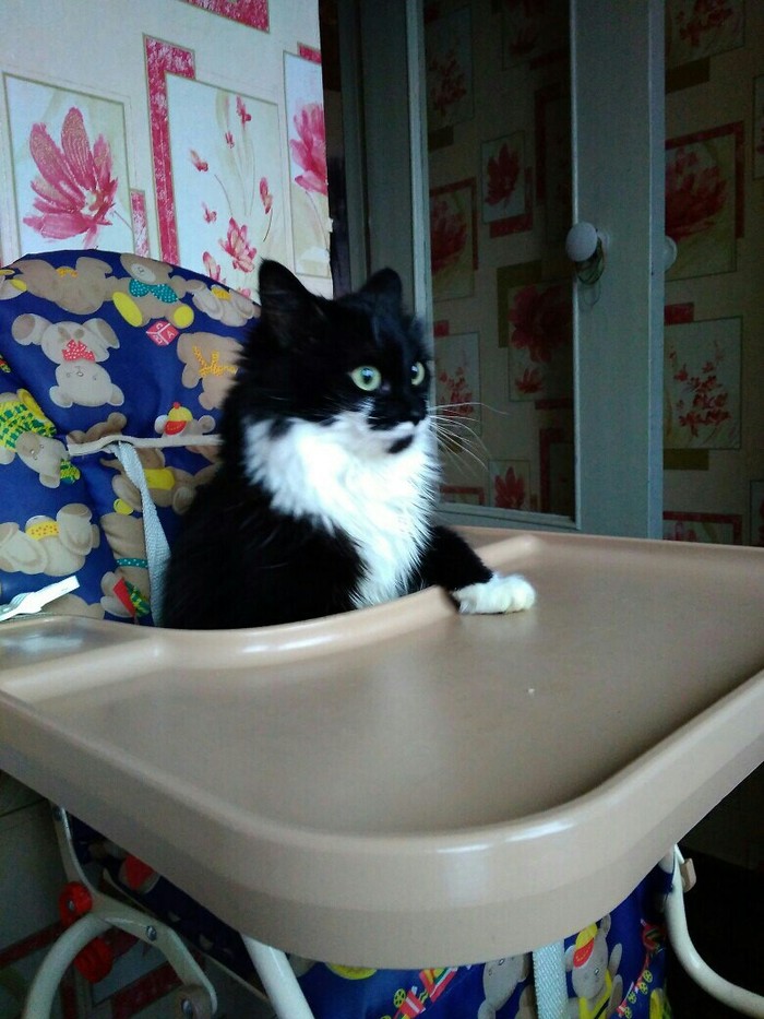 -А где ребенок? -Я за него