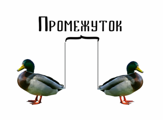 between ducks - My, Duck, Interval, Rave