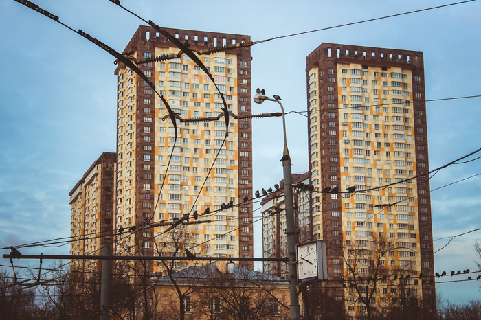 A city of skyscrapers, trams and birds... - My, Moscow, Travels, Town, Birds