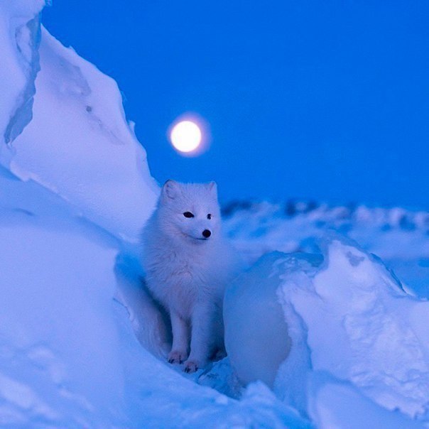 ����� ����� �����. �������