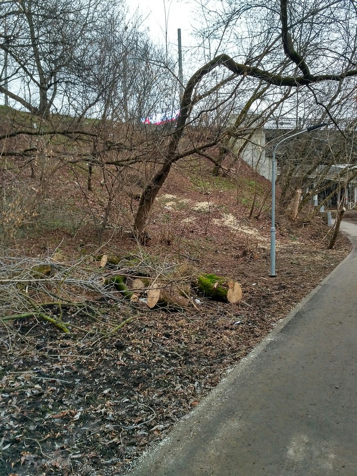 Кому дрова Первый пост, Дрова, Управляющая компания, Администрация, Перекрыли дорогу, Снег, Погода, Длиннопост