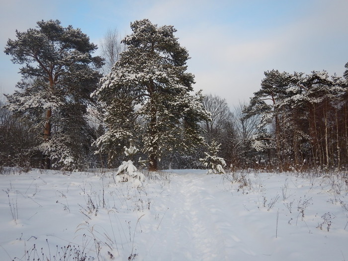 НГ в Подмосковье. Сергиев-Посад