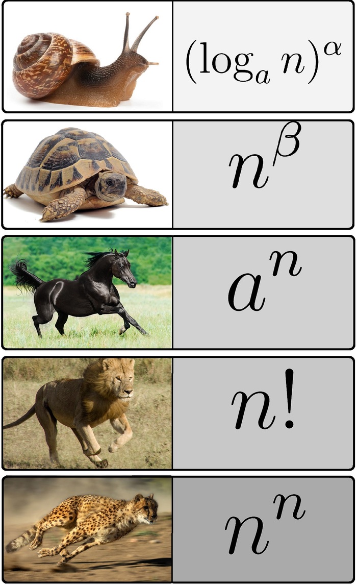 Sequences in ascending order of speed visually - My, Prokhorovich, Math humor, Higher mathematics, Scientific humor, Mathematical analysis, Professional humor