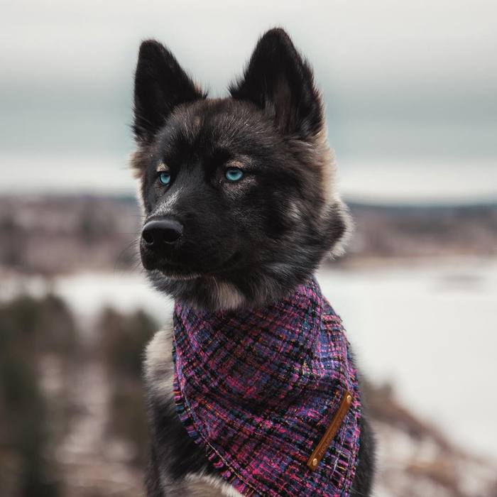 ������������ ����