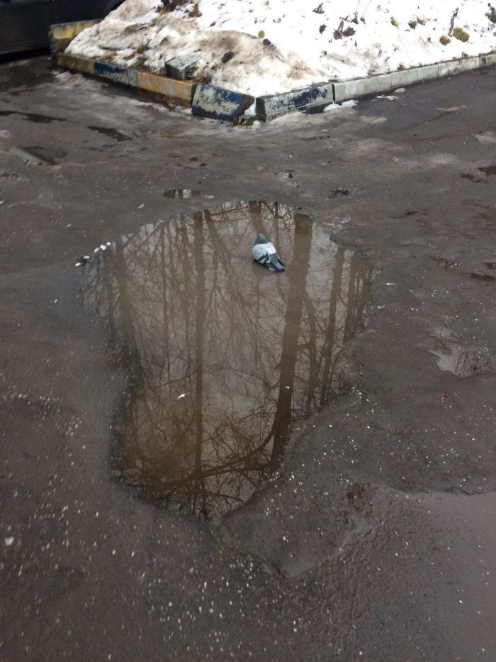 ����� ���������� ����� � ������.