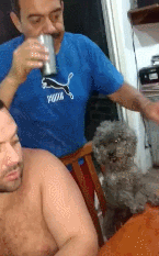 Hold my beer - Dog, Cup, Grin, GIF