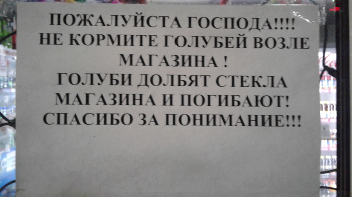 Голуби против буржуев - Моё, Голубь, Все тлен, Смерть, Птичку жалко