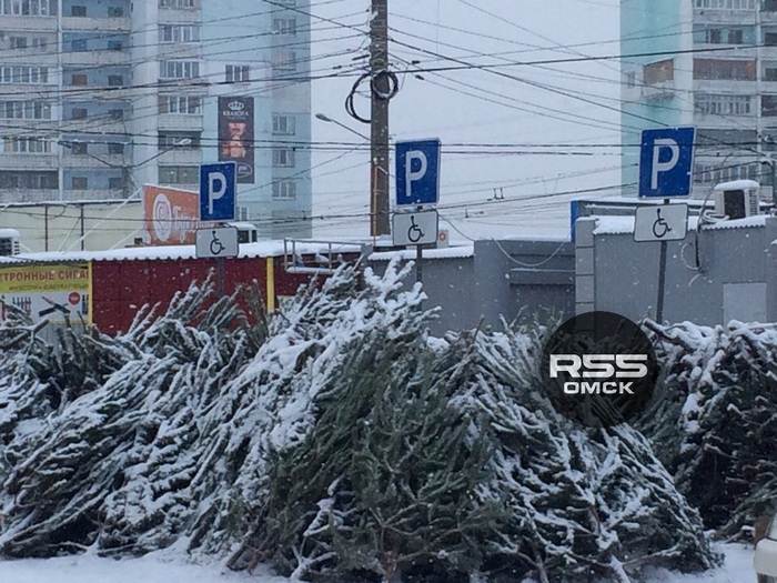 Why not? - Omsk, Parking, New Year, Christmas Tree Bazaar