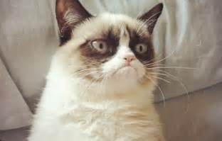 ����� ������ (������ �� �������) �� �������� ��������-�������� � ����������.