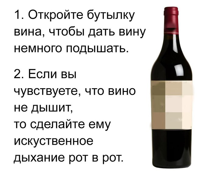 Фото Вина Прикольные Фото Вина Прикольные