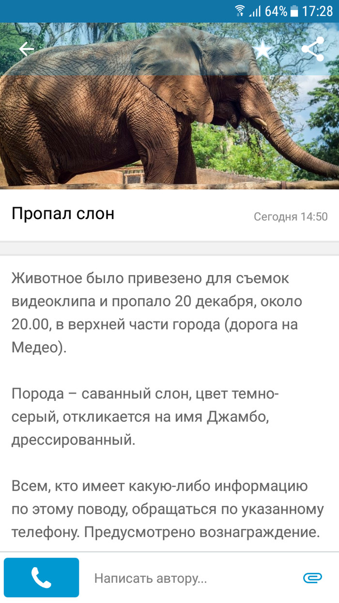 missing elephant - Elephants, Announcement, Almaty