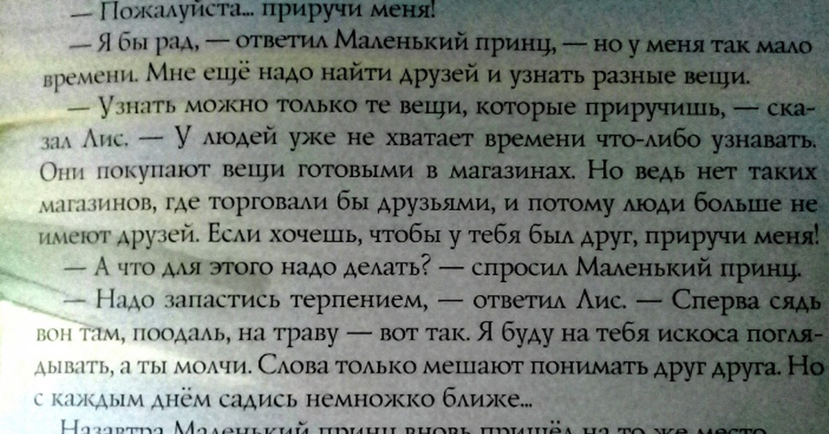 Маленький принц текст. Маленький принц монолог лиса. Монолог лиса из маленького принца текст. Монолог из маленького принца. Монолог из книги маленький принц.