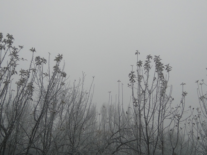 Познакомимся?