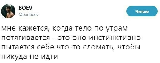 А получаются только судороги ((( - Twitter, Утро, Сон