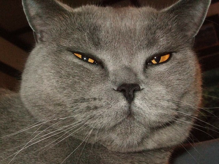 Очень страшная история