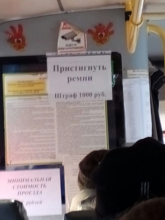 �������, ��� �����������