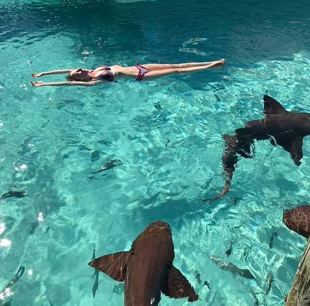 A Caribbean honeymoon turned into a nightmare - Shark, Caribs, Honeymoon, Nightmare