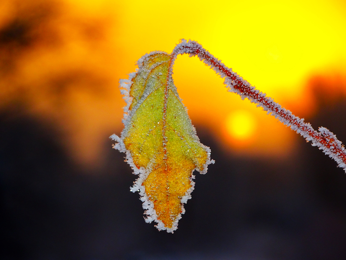 &quot;  ,   ...!&quot;