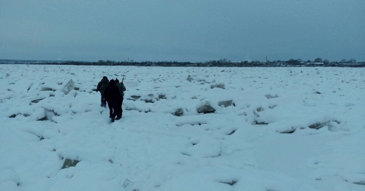 Дорога жизни в устюг. Дорога жизни Кузино Устюг. Дорога жизни Устюг. Дорога жизни Кузино. Кузино Великий Устюг.