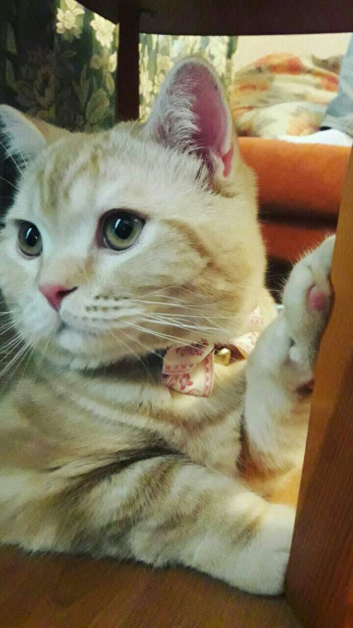 ���-�������