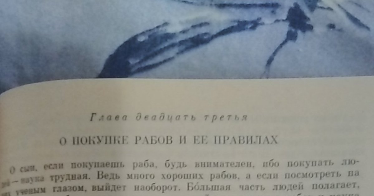 Нужная книга | Пикабу