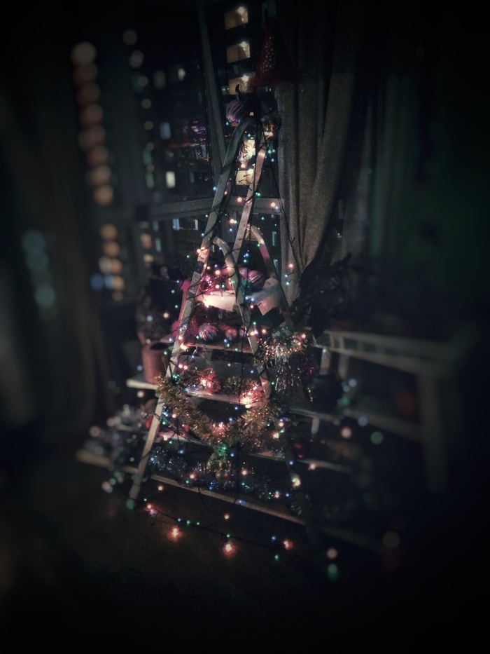 Живая или искусственная: какую елку выбрать?