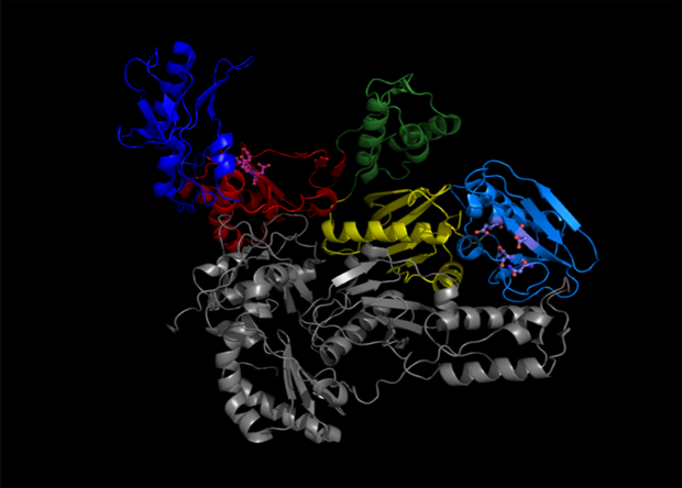 Computer modeling helped develop a new drug against HIV - The science, news, Hiv, AIDS, Medications, Computer simulation, Mathematics, The medicine