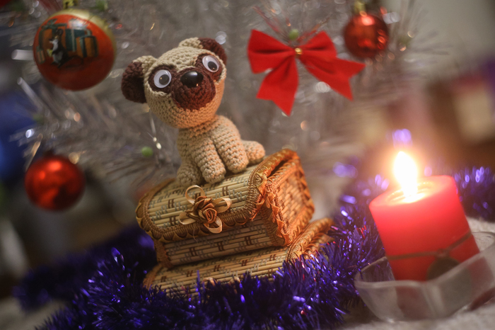 Christmas knitted pug - My, Needlework, Needlework without process, Crochet, Knitting, Pug, Dog, New Year, Longpost