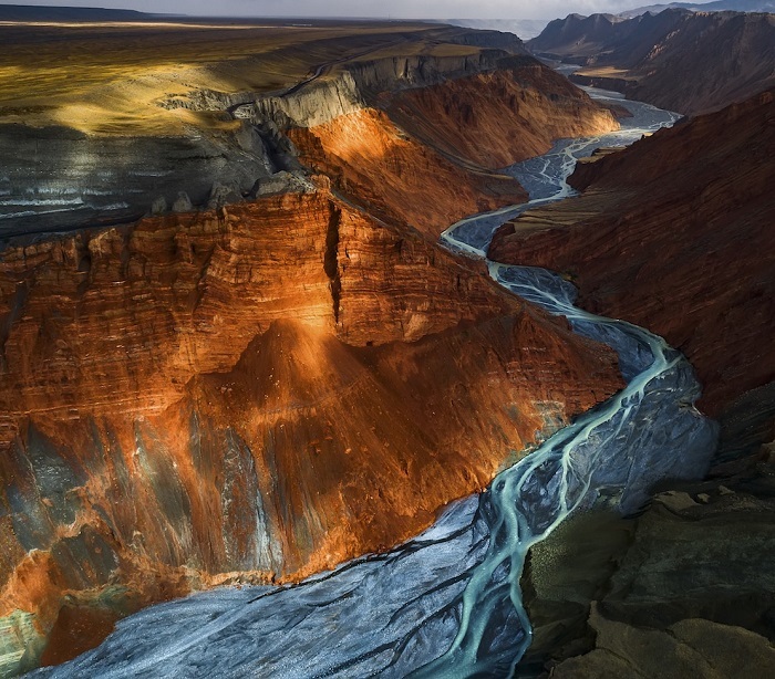 Winners of the National Geographic Nature Photographer of the Year 2017 - The photo, Winners, The national geographic, , Not mine, Longpost