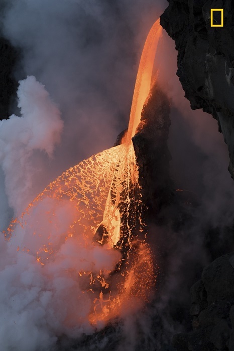 Winners of the National Geographic Nature Photographer of the Year 2017 - The photo, Winners, The national geographic, , Not mine, Longpost