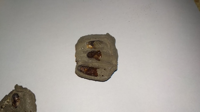 ,       ,  , , 