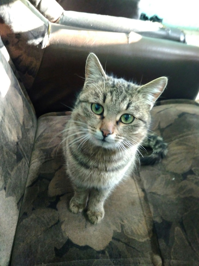 ��� ������� ���