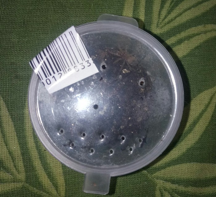 ����� ���� �������)