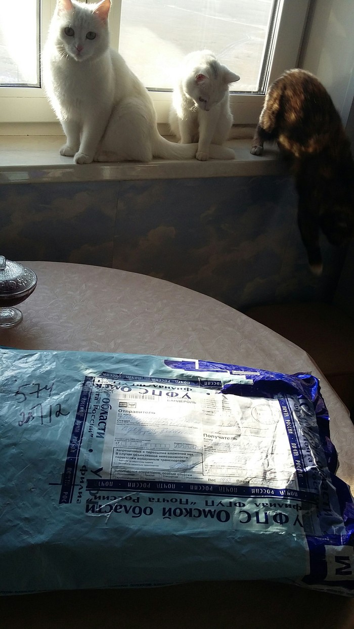 Received a gift from Omsk! - My, Gift exchange, Chita, Omsk, Longpost, cat