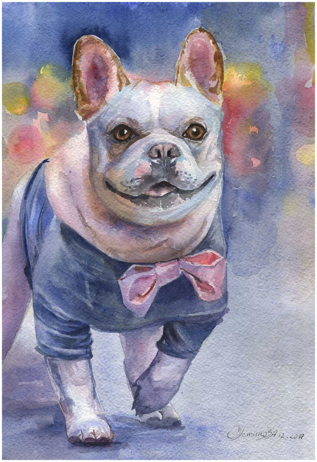 Dogs, drawing dogs - My, Dog, Longpost, Pre-holiday mood, Watercolor, Painting