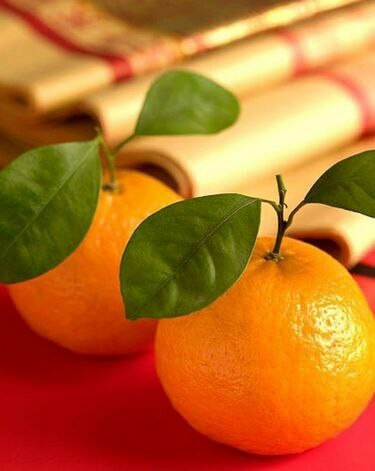 New Year's miracle - My, New Year, Presents, Childhood, Tangerines