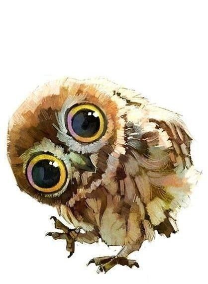 Owl art. - Owl, Birds, Art, The photo, Longpost